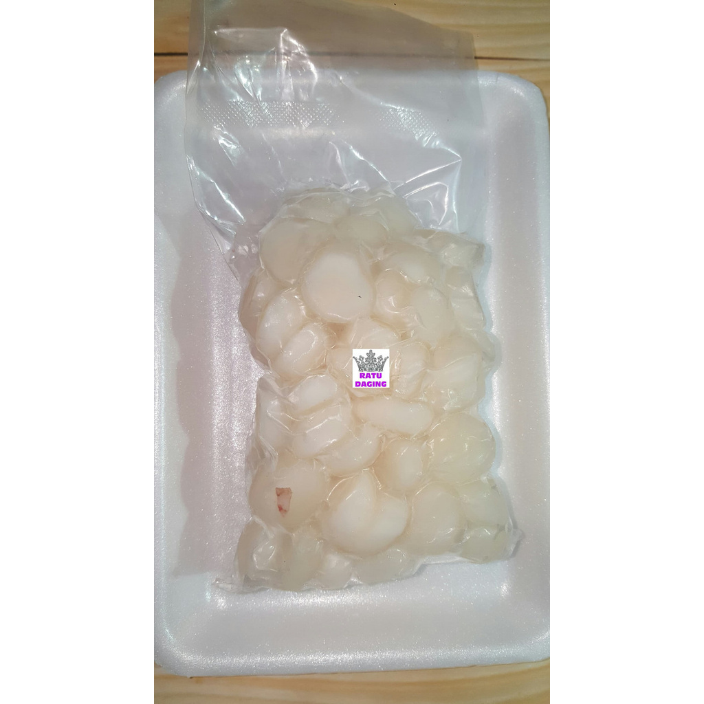 

Scallop / Kerang Kampak / Kerang Simping @250gr