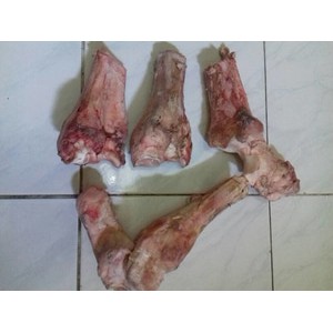 dengkul sapi / daging sapi lokal