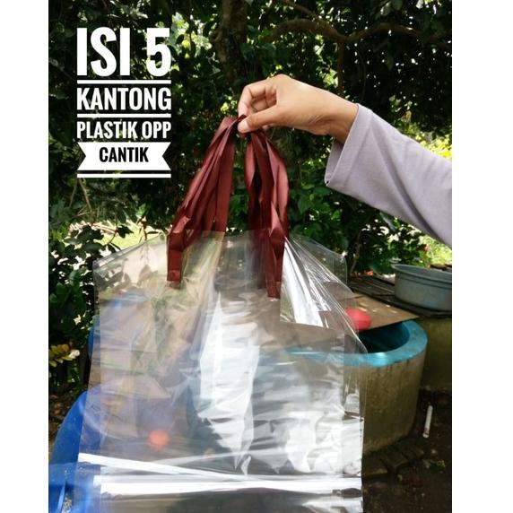 

ㅀZ Plastik opp buket 5pc sudah ada pita pegangan HOT ITEM 3693 ☽