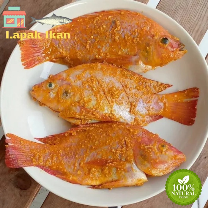 

Ikan Nila Bumbu Kuning Siap Masak - 1 Kilogram