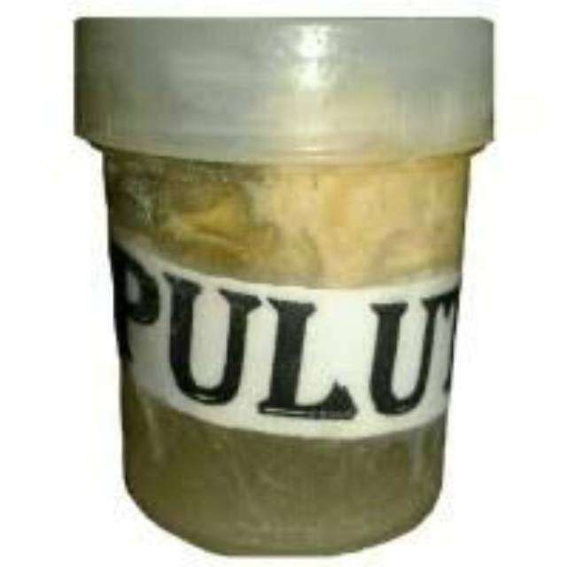 Pulut burung Pulut Jawara