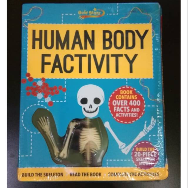 Factivity human body