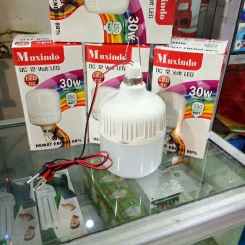 LAMPU LED DC MUXINDO DC 12 VOLT LED 30 WATT