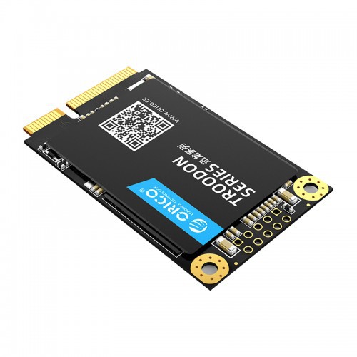 ORICO M200 mSATA SSD 256GB