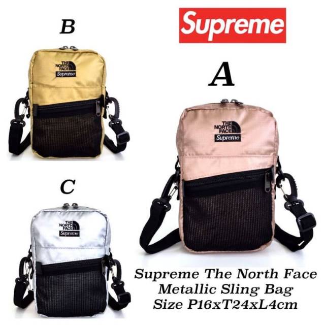 supreme the north face metallic
