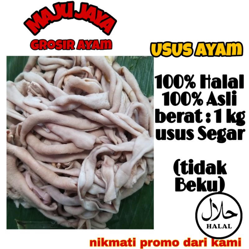 USUS SEGAR 1KG / USUS MURAH / USUS FRESH / USUS BERKUALITAS