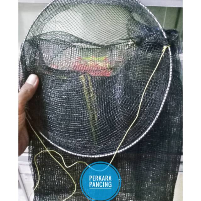 Korang / waring tempat ikan