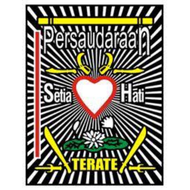 

Poster A3 logo PSHT