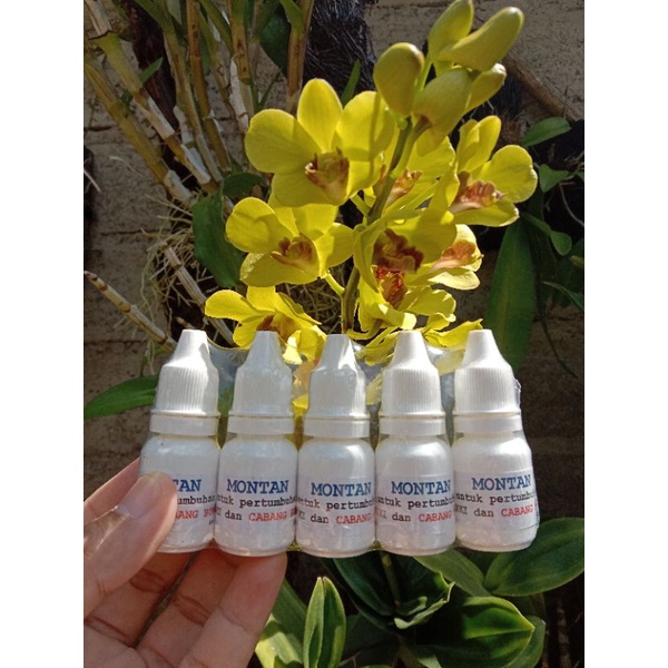 Montan perangsang pembungaan anggrek 3pcs