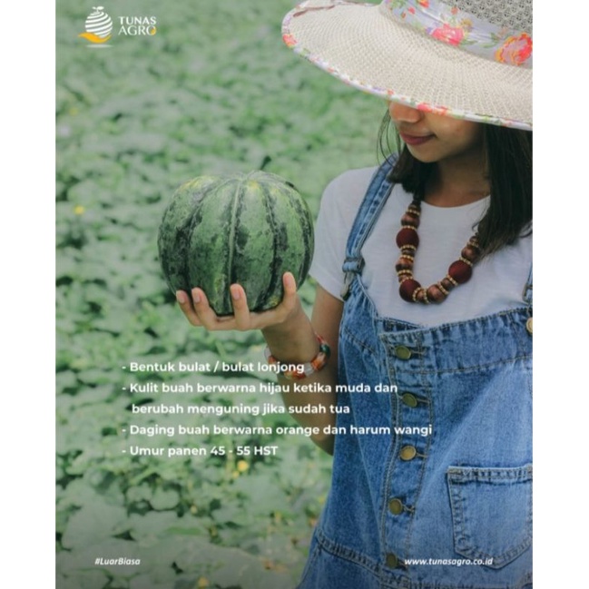 Benih Blewah Aruna Tunas Agro 15gr