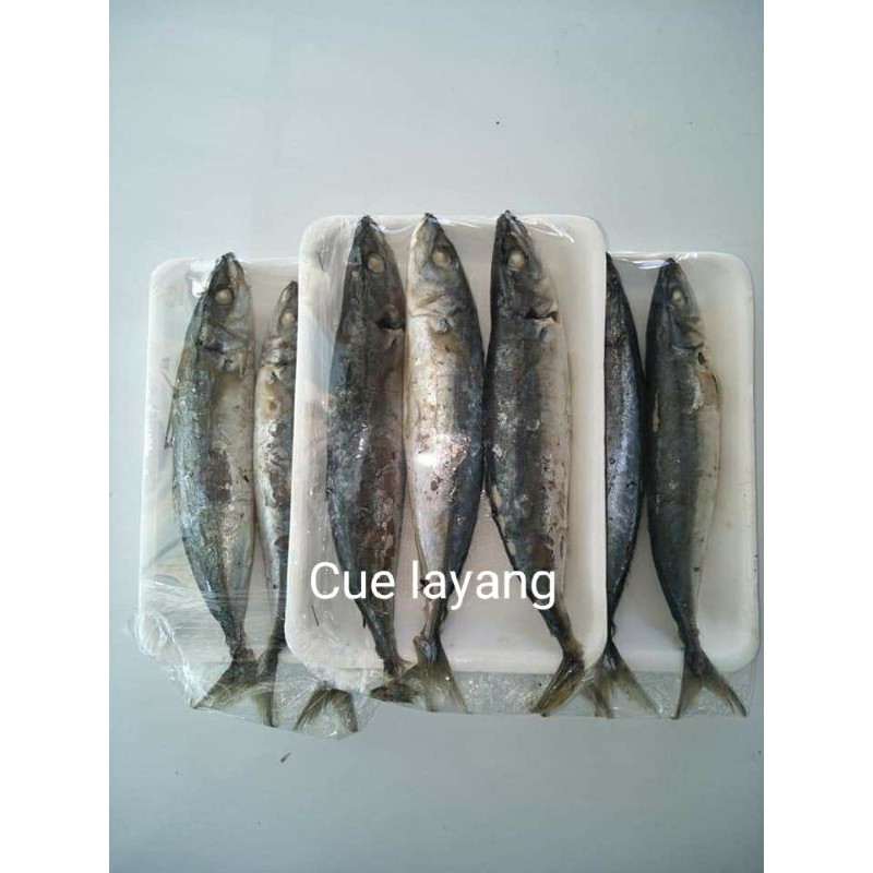 

Cue layang