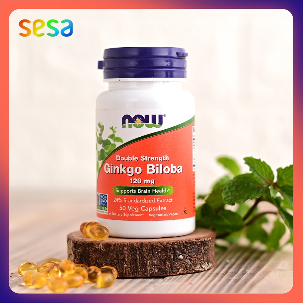NOW Ginkgo Biloba 120 mg – 50 VCaps | Suplemen Kesehatan untuk Fungsi Otak & Sirkulasi
