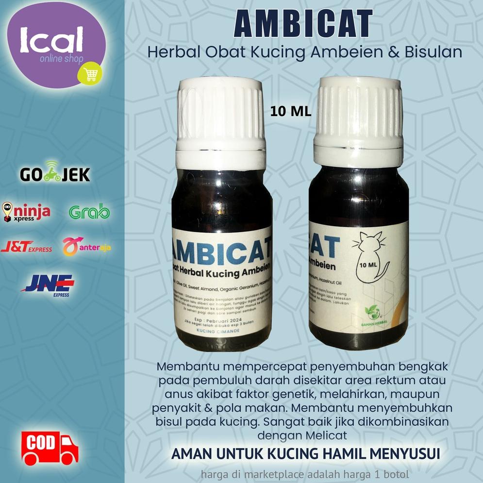 [KODE 6FPWF] AMBICAT Obat Herbal Kucing Ambeien Wasir Bisulan