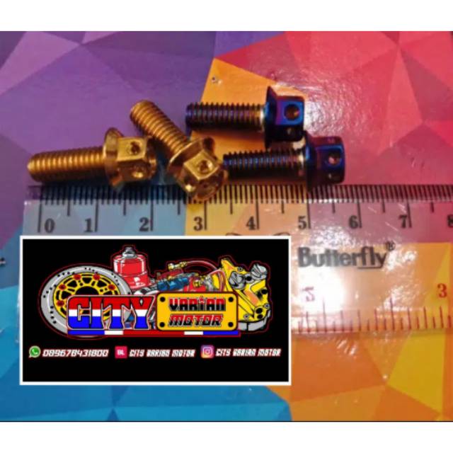 Baut Probolt Gold Flower 6x15 drat 10