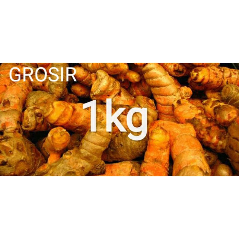 

KUNYIT SEGAR 1KG HARGA GROSIR