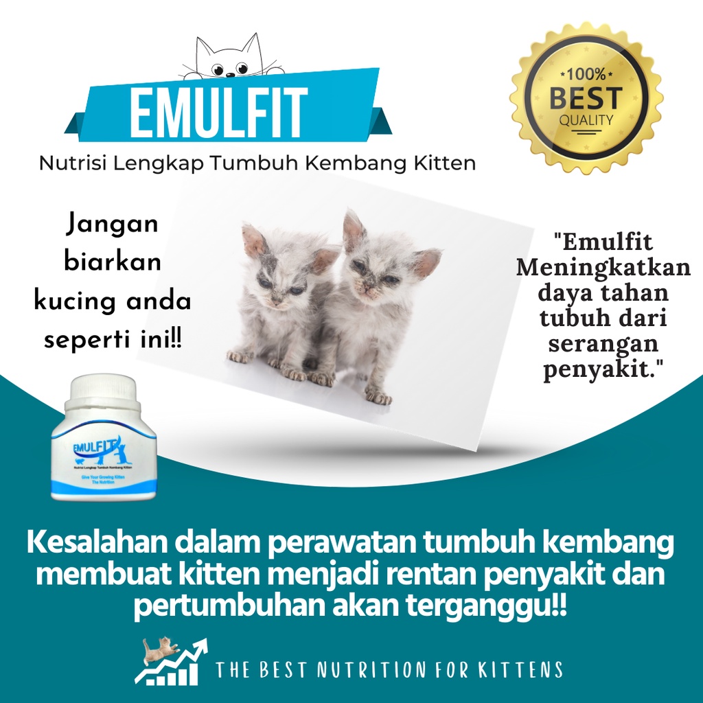 EMULFIT Nutrisi Makanan Pertumbuhan Kitten / Vitamin Nafsu Makan Anak Kucing Gemuk Sehat