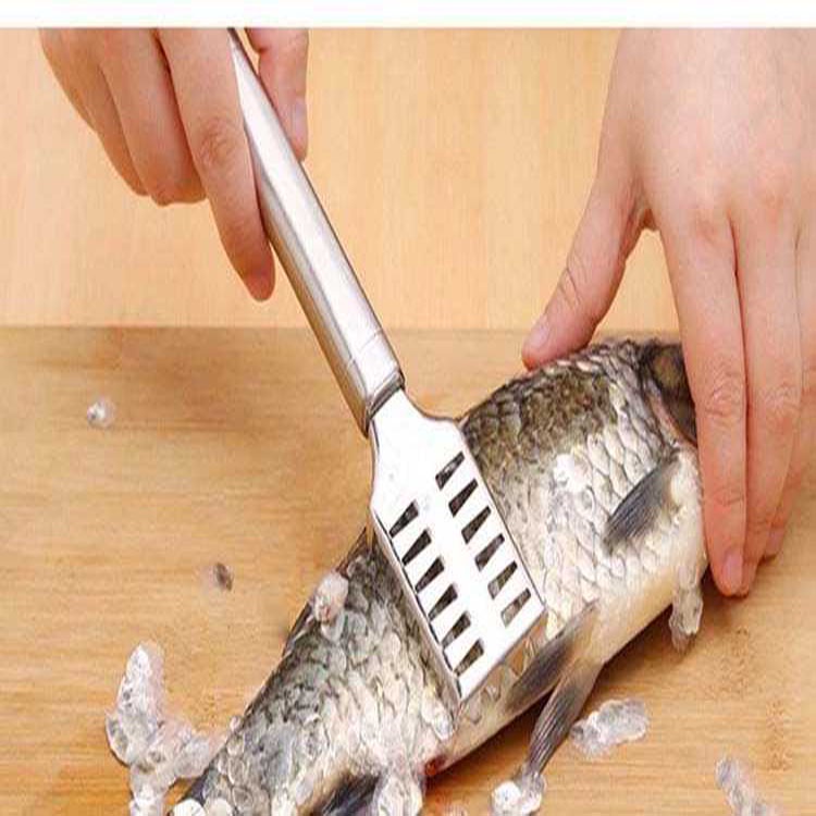 Pembersih Sisik Ikan Peeler Pembersih Ikan Fish Scraper Stainless Steel