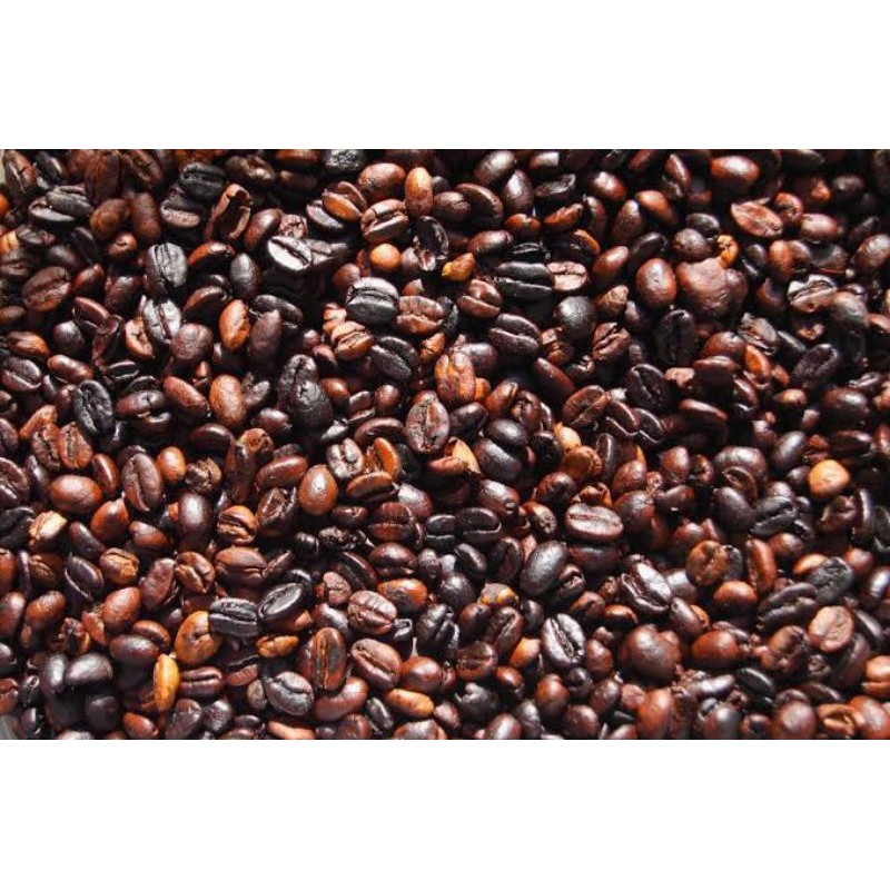 

Biji Kopi Robusta Suliki 50 Kota