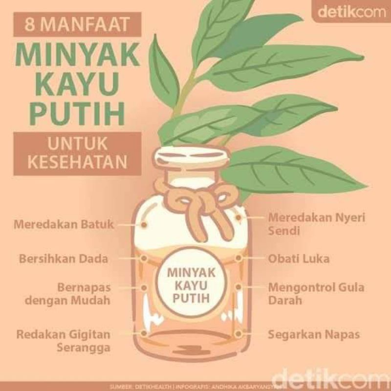 Minyak Kayu Putih Asli Ambon