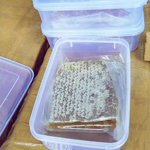 

Madu sarang ukuran kurang lebih 300gram harga 50rb