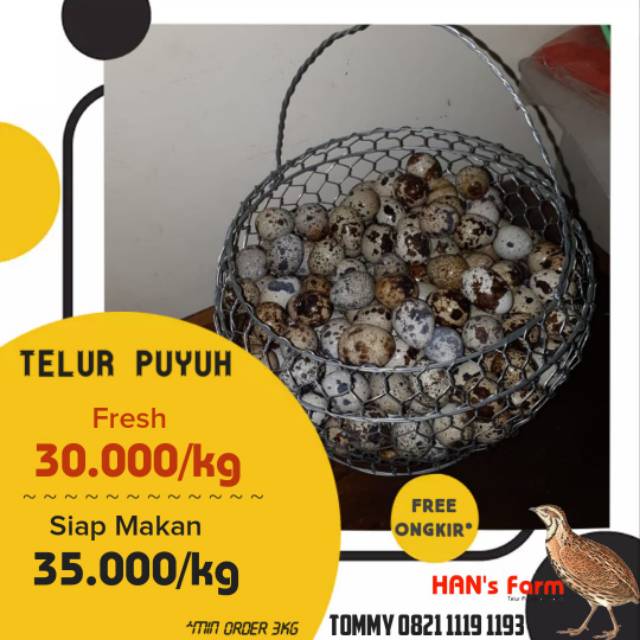 

Telur puyuh mentah