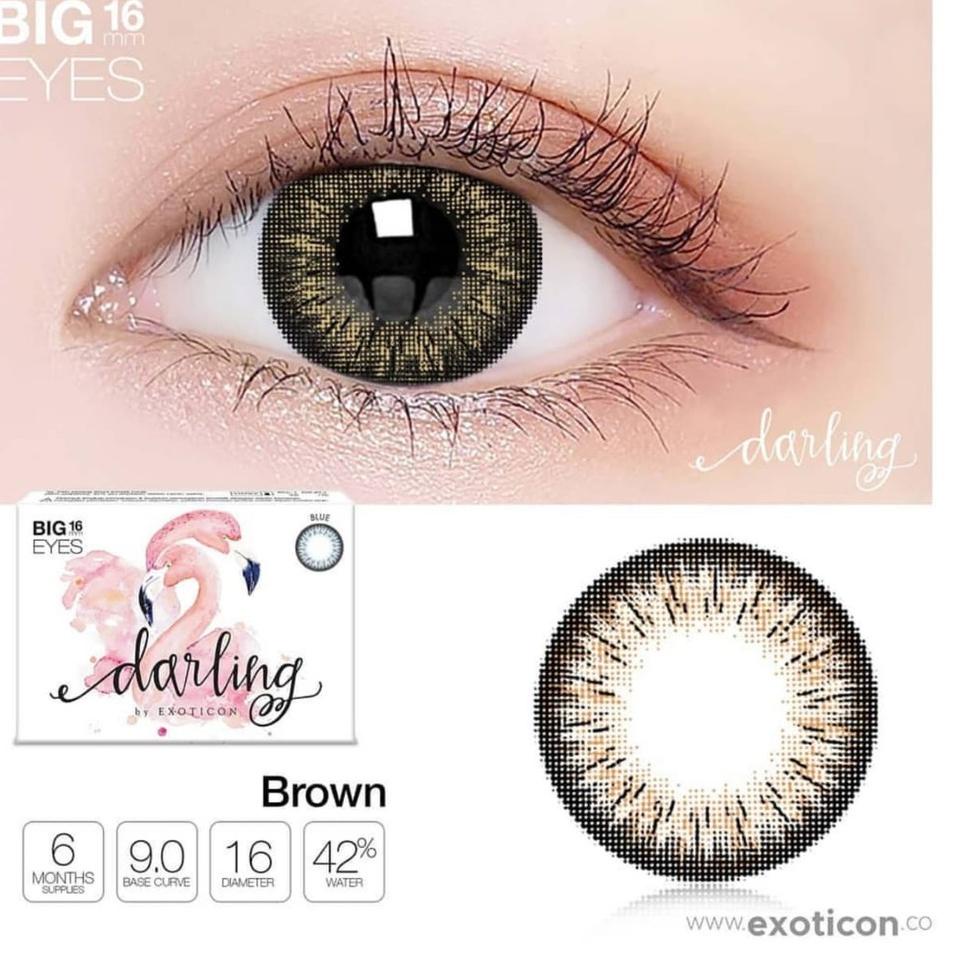 Safe Payment DARLING BROWN (-0.50 S/D -6.00)