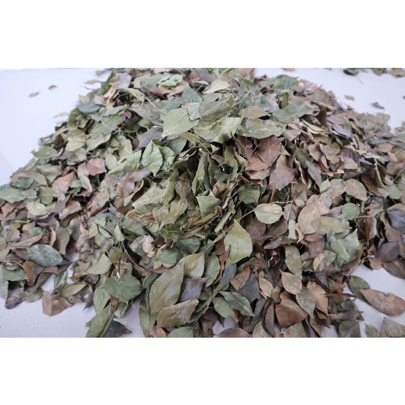 

daun kemuning kering (A) ori 500gr