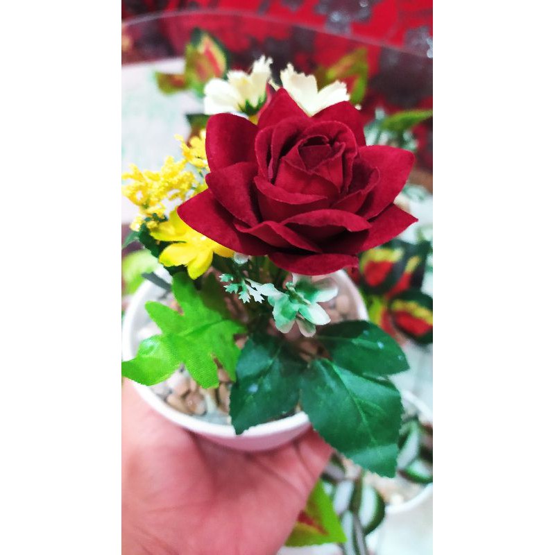 Bunga Valentine/Bunga Mawar Meja/Mawar Hias/Mawar Meja/Bunga Hias/Bunga Meja
