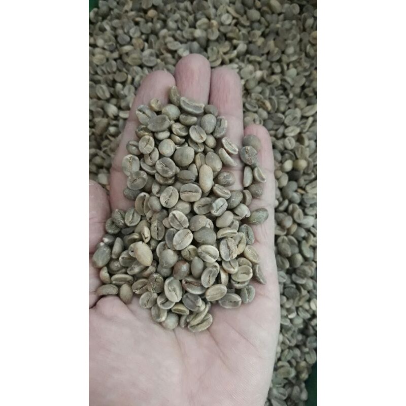 

Biji Kopi / GreenBean Arabika Petik Merah Kualitas Premium