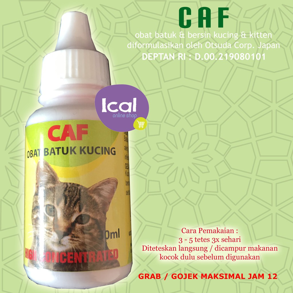 Obat Kucing Batuk Pilek Bersin Caf Indonesia