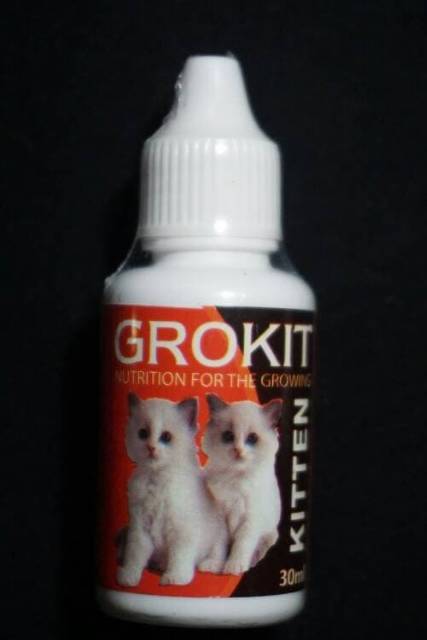 grokit vitamin anak kucing