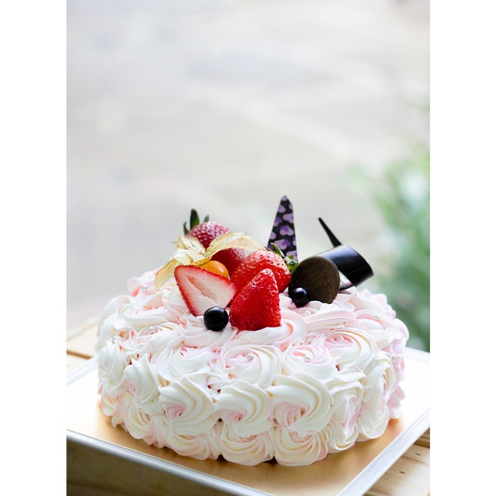 

Krim- Hollmann Hollman Soft Cream 500Gr -Krim.