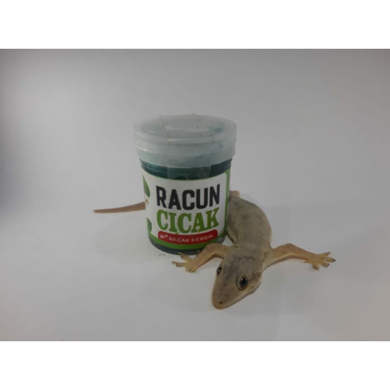 PROMO RACUN CICAK DAN KECOA RACCO NEW RACAK HERBAL PEMBASMI CICAK KECOA DAN TOKEK TERBUKTI AMPUH