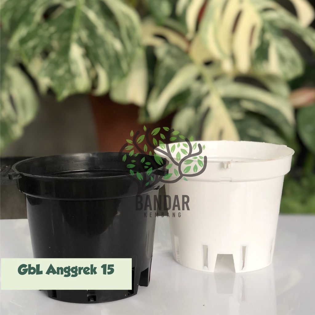 Pot Bunga Anggrek GBL 15 Warna Putih Dan Hitam - Pot Bunga/Tanaman Hias - Pot Plastik GBL - Pot Hidr