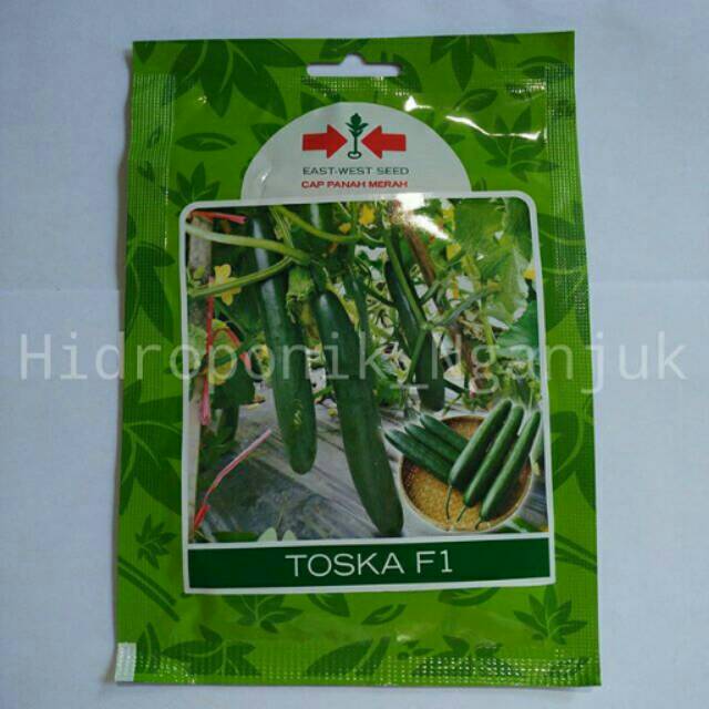 Timun Toska/ Timun Kyuri / Timun Jepang