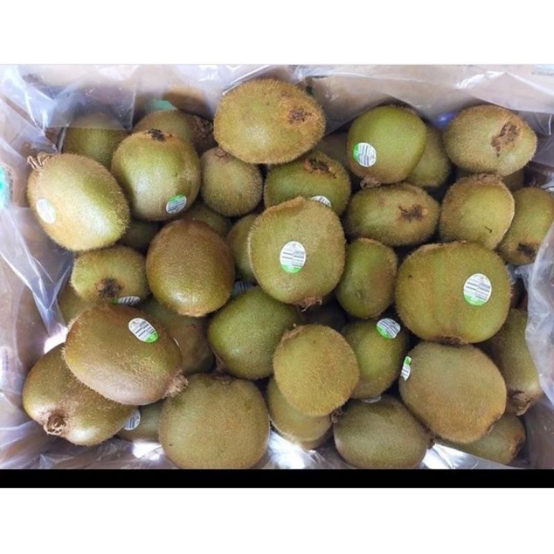 Buah Kiwi Hijau / Kiwi Segar Import 450-500 gram