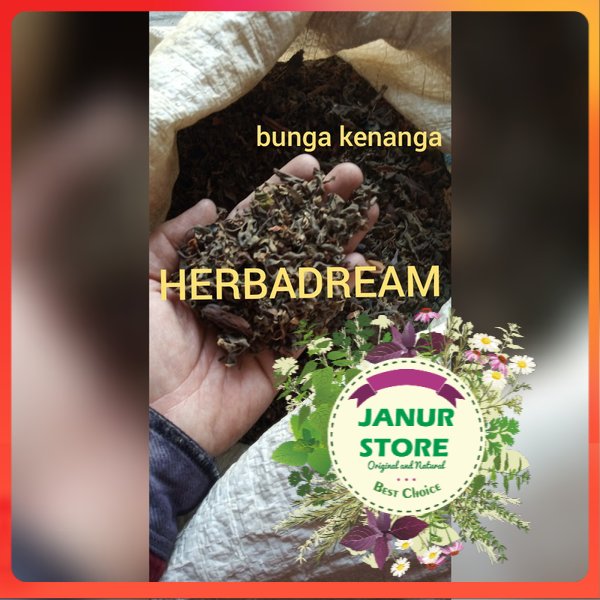 

GRADE A - BUNGA KENANGA KERING 1000 GRAM / 1 KG - Cananga Odorata - MURNI