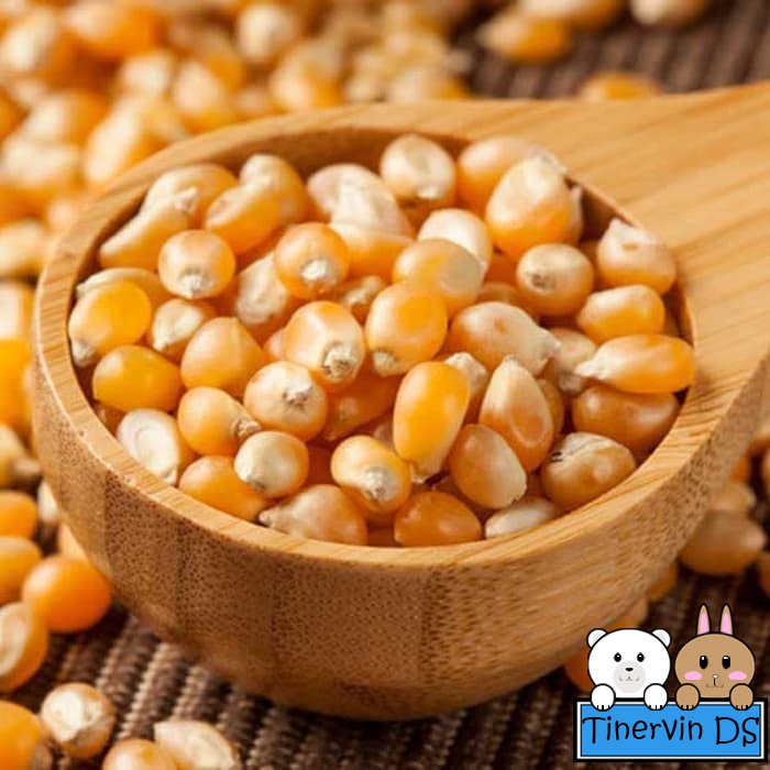 

Biji Jagung Popcorn / Pop Corn 1kg
