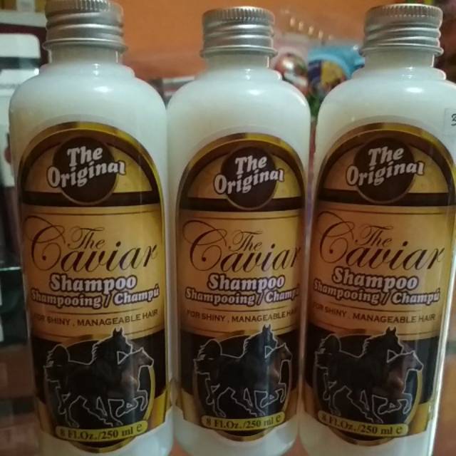 Shampoo the caviar sampo kuda