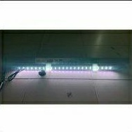 NIKITA STAR T8 600 LAMPU CELUP LED TANNING RED AROWANA LOUHAN ARWANA T8 60 CM NIKITA STAR