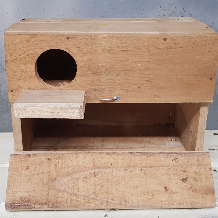 glodok kayu jati burung murai