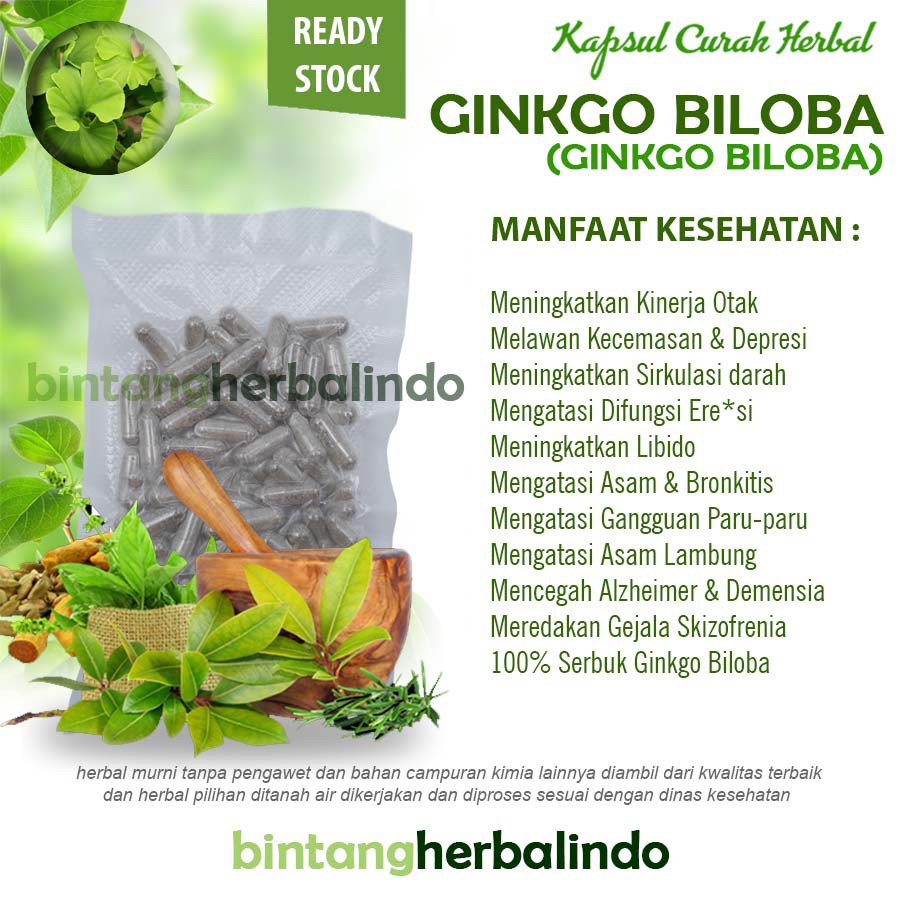 Kapsul Curah Herbal GINKGO BILOBA 2x100 600mg Daya Ingat Anti Aging Sendi