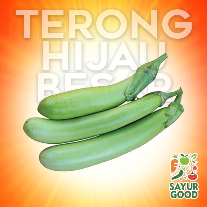 Terong Hijau Besar Segar 500 gram (Sayur Segar)