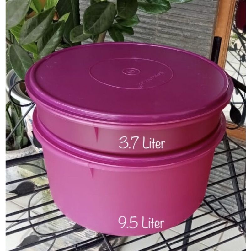 bowl baskom tupperware