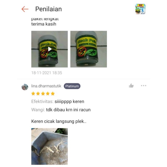 Racun Cicak Herbal Ampuh Membunuh Cicak FEFARM