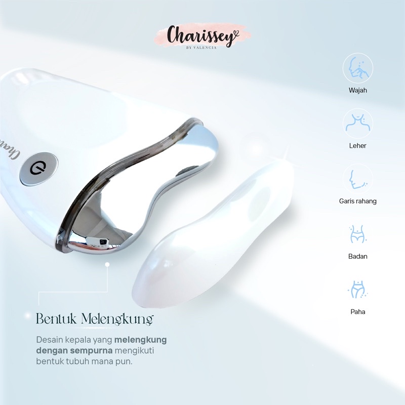 Charissey Hot &amp; Cold Face Massager