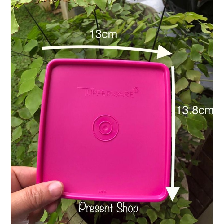 Tutup Square Away Medium