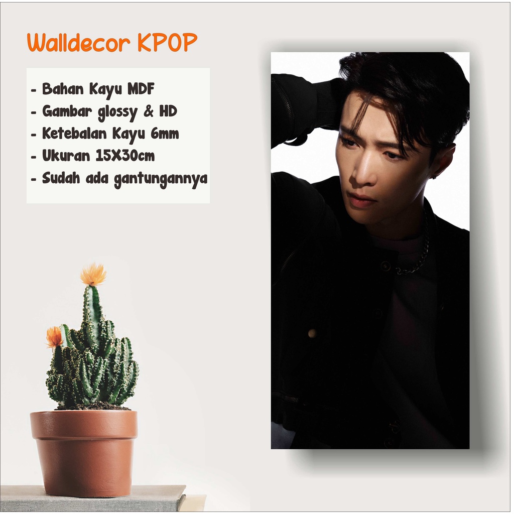 WALLDECOR EXO LAY DONT FIGHT THE FEELING UKURAN 15X30 CM WALL DECOR POSTER KAYU HIASAN DINGDING KPOP