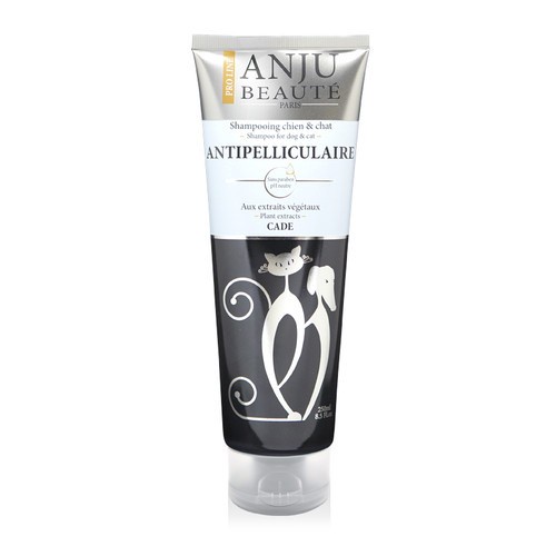 Shampoo ANJU ANTIPELLICULAIRE 250ml shampo anti dandruff anju beaute