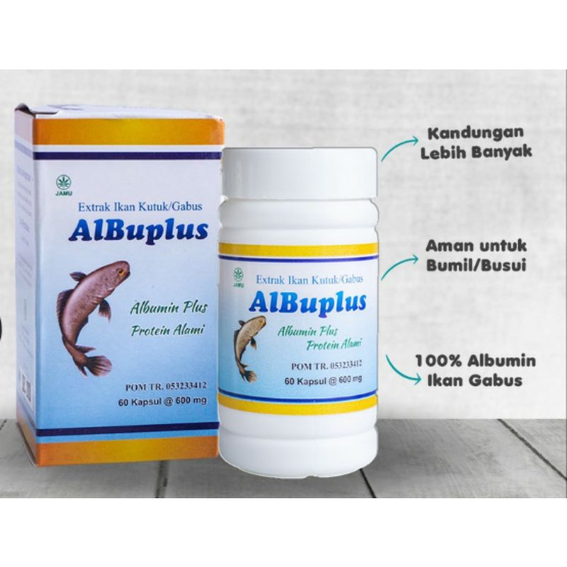 Kapsul Ekstrak Ikan Gabus Albuplus isi 60 kapsul Obat Herbal alami | Albuplus | Albumin | herbal